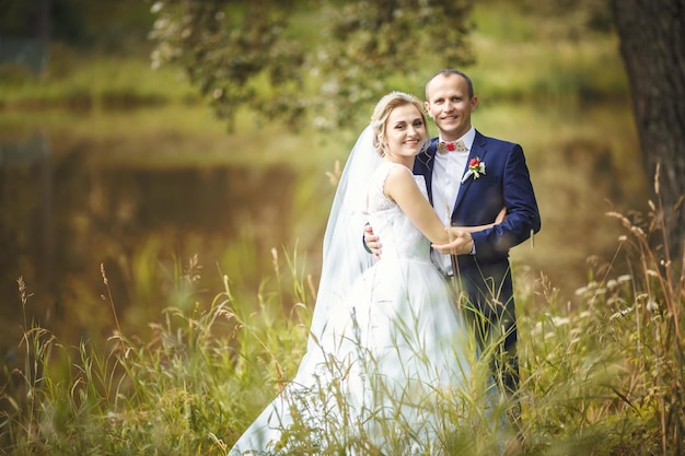 Die Braut und der Bräutigam in der Natur nahe dem See Braut umarmt den Bräutigam Hochzeitstag Der beste Tag eines jungen Paares