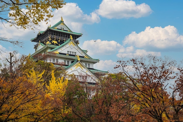 Die Burg von Osaka in der Herbstlaubsaison ist ein berühmtes Wahrzeichen der japanischen Burg und beliebt für Touristenattraktionen in Osaka Kansai Japan