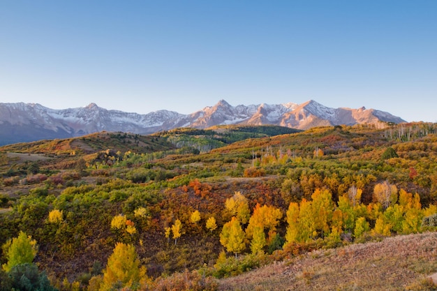 Die Dallas Divide ist eine Ikone Colorados, die für ihre leuchtenden Herbstfarben bekannt ist, die von Buscheiche und Espe produziert werden.