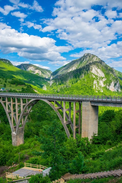 Die Djurdjevic-Brücke überquert die Schlucht des Tara-Flusses im Norden Montenegros