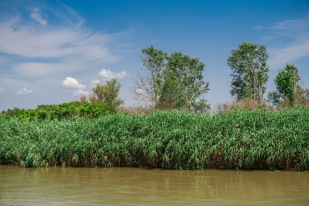 Die Donau nahe dem Dorf von Vilkovo, Ukraine