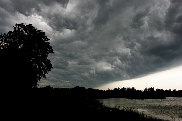 Die dramatische Landschaft mit dunklen Wolken und Baumsilhouetten vor einem schrecklichen Gewitter