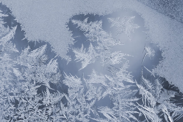 Die einzigartigen Eismuster auf Fensterglas