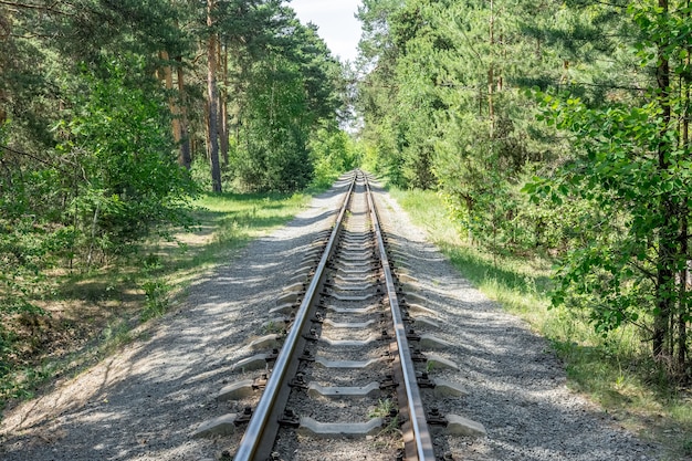 Die Eisenbahn führt durch den Kultur- und Erholungspark Eisenbahn zur Unterhaltung Attraktivität