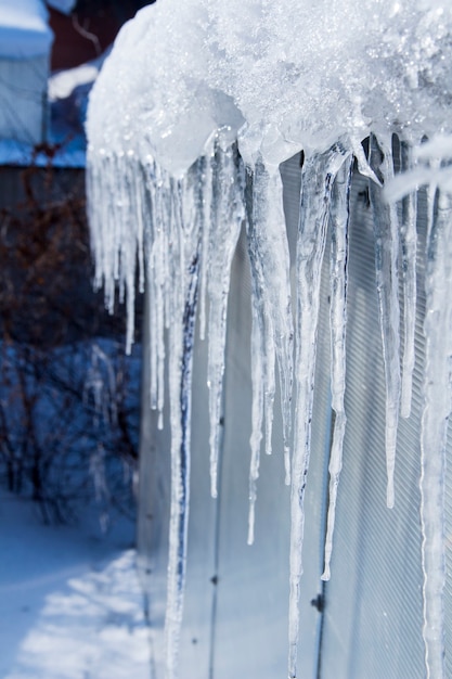 Die Eiszapfen schmelzen. Frühling Tauwetter. Warmer Winter . Eiszapfen hautnah. Nahaufnahme eines großen gewellten Eiszapfens mit mehr schmelzenden Eiszapfen daneben und einem weichen Winterhintergrund.