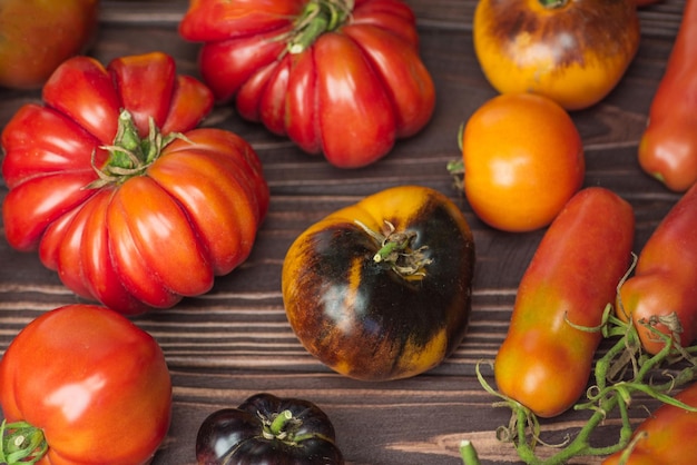 Die Ernte von sortierten Tomaten Schöne reife Tomaten verschiedener Sorten Bunte Tomaten Hintergrund oder Textur