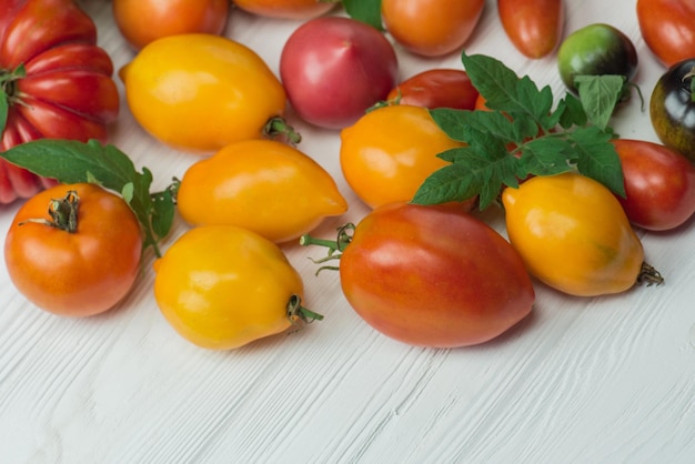Die Ernte von verschiedenen Tomaten Sorte reife natürliche Bio-köstliche verschiedene Tomaten Tomaten auf Holzhintergrund