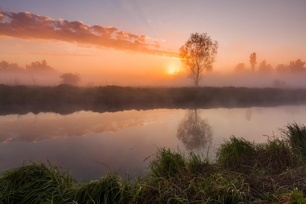 Die ersten Strahlen der aufgehenden Sonne am nebligen Fluss