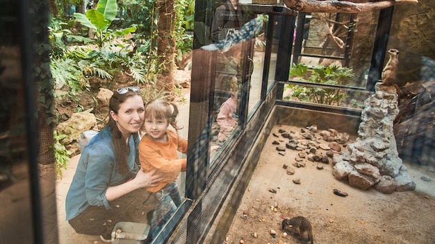 Die Familie im Zoo betrachtet die Tiere durch ein Sicherheitsglas