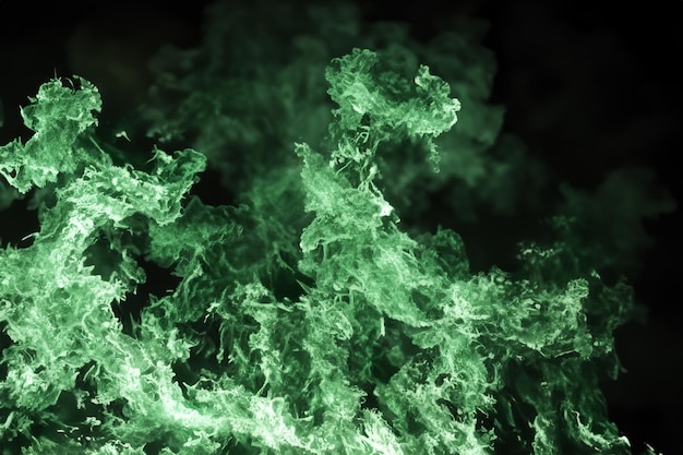 Die faszinierenden grünen Flammen tanzten anmutig gegen den pitchschwarzen Hintergrund und schufen eine atemberaubende