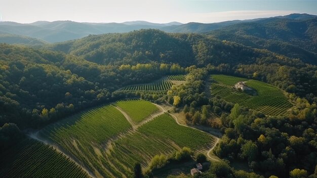 Die fesselnde Luftaufnahme zeigt einen malerischen Weinberg in der Toskana, wo sich üppig grüne Weinberge erstrecken, so weit das Auge reicht. Generiert von KI