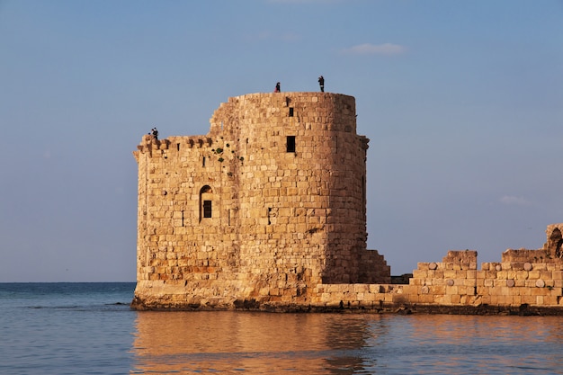 Die Festung in Sidon (Sayda), Libanon