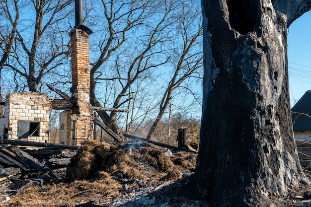 Die Folgen eines Waldbrandes und Brandstiftung von trockenem Laub Verkohlte Bäume und Gras im Wald Asche auf dem Boden nach einem Vorfall im Park Umweltschutz