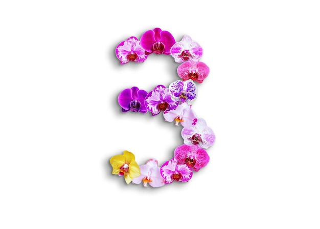 Die Form der Zahl 3 besteht aus verschiedenen Arten von Orchideenblüten, die für Vorlagen für Geburtstage, Jubiläen und Gedenktage geeignet sind
