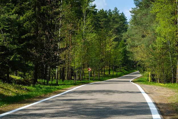 Die Forststraße ist an einem sonnigen Tag eine gute asphaltierte Straße im Wald.