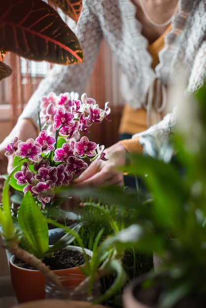 Die Frau, die sich um Orchideenblumen interessiert, vertikal