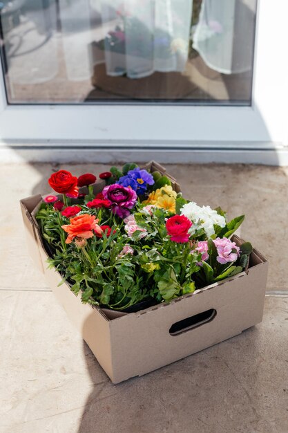 Die Frühlingsblumen in einer Kiste vor der Tür