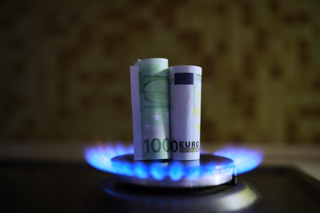 Die Gaskosten der Euro-Krise 100 Euro für einen Gasbrenner Sanktionen für russisches Gas