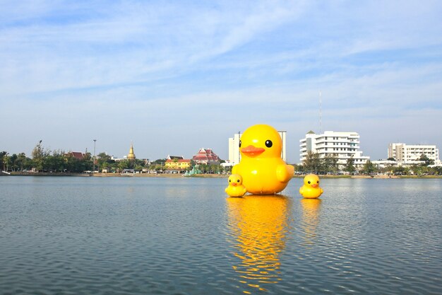 Die gelben Enten