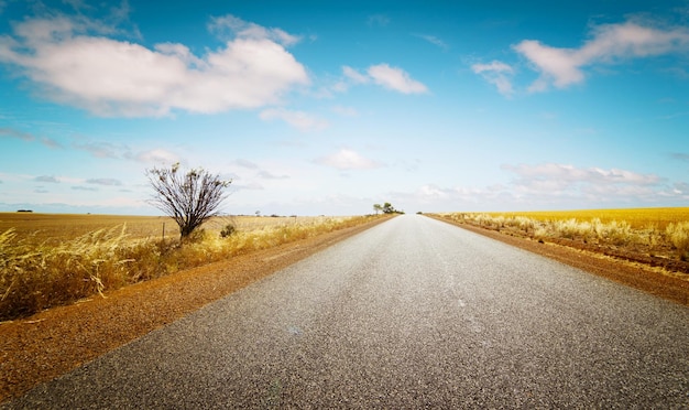 Die gerade Straße führt zum Horizont auf dem Hintergrund des blauen Himmels und des goldenen Weizenfeldes