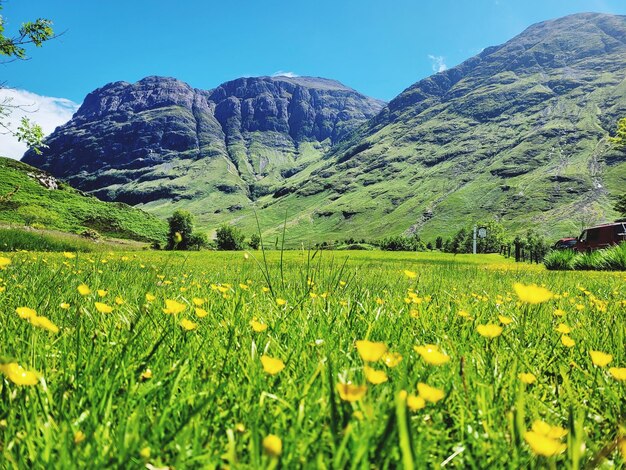 Foto die glencoe-täler