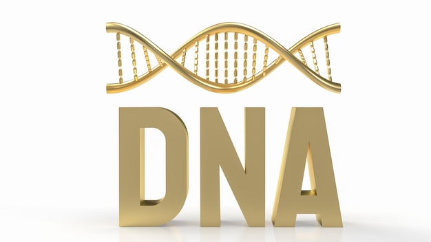 Die Gold-DNA auf weißem Hintergrund für sci oder medizinisches Konzept 3D-Rendering