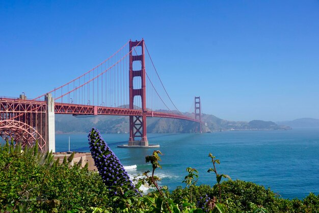 Foto die golden gate-brücke