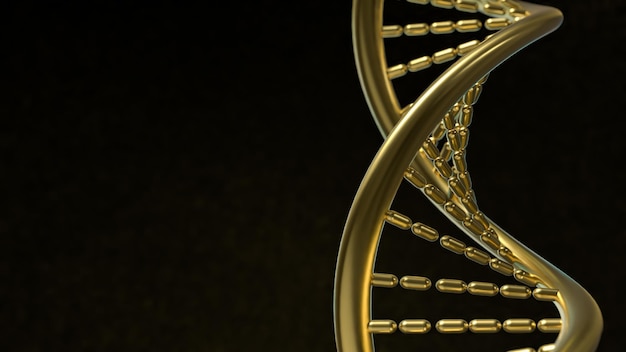 Die goldene DNA in schwarzem Hintergrund für wissenschaftliche oder medizinische Konzepte 3D-Rendering