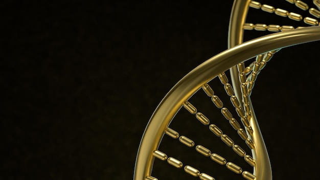 Die goldene DNA in schwarzem Hintergrund für wissenschaftliche oder medizinische Konzepte 3D-Rendering