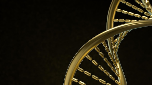 Die goldene DNA in schwarzem Hintergrund für wissenschaftliche oder medizinische Konzepte 3D-Rendering