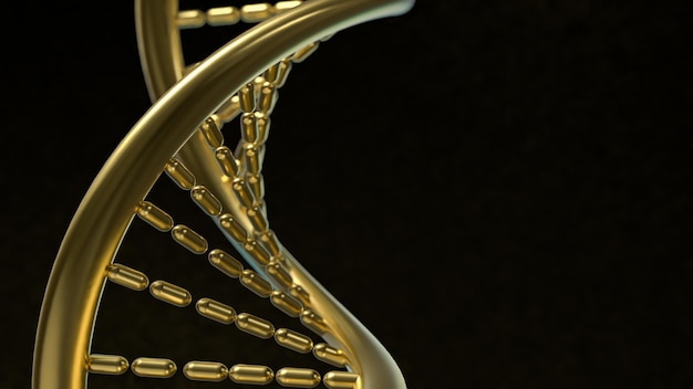 Die goldene DNA in schwarzem Hintergrund für wissenschaftliche oder medizinische Konzepte 3D-Rendering