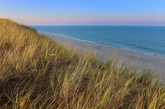 Foto die goldene stunde an der cape cod national seashore