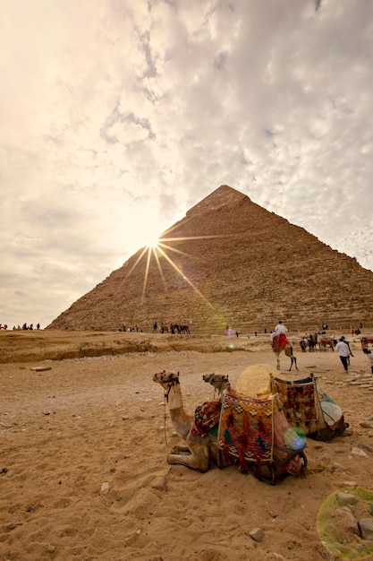 Die Große Pyramide von Gizeh bei Sonnenuntergang. Kamele ruhen in der Nähe der Chephren-Pyramide, Gizeh, Ägypten