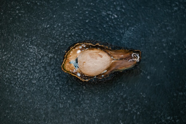 Die Hälfte der ungesunden faulen verdorbenen Avocado auf dunklem Hintergrund. Schlechte Avocado aufgeschnitten. Schimmelige Avocado