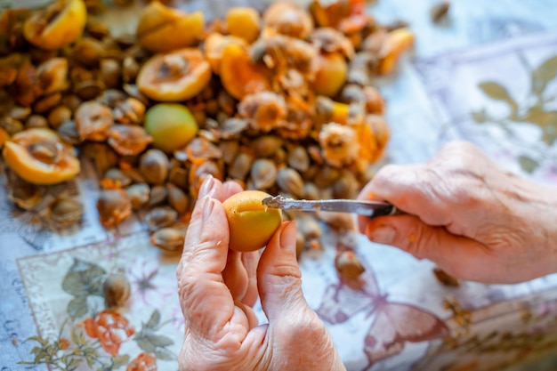 Die Hände älterer Frauen schneiden Aprikosen für Marmelade. Vorbereitung von Aprikosenrohlingen