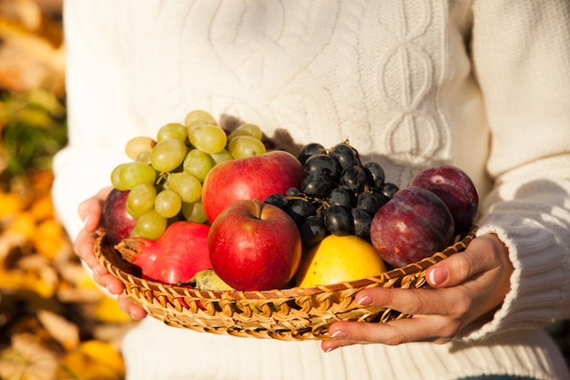 Die Hände der Frau, die einen Korb mit frischem Obst halten. Nahaufnahme