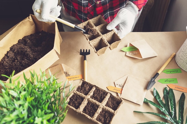 Die Hände der Frau pflanzen Samen zu Hause Hobbys im Gartenbau und das Leben in der Landwirtschaft während der Sperrung Das Konzept der ökologischen und pflanzlichen Ökonomie Tag der Erde