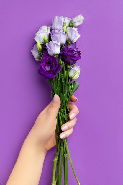 Die Hände der schönen Frau, die Blumen auf violettem Hintergrund halten
