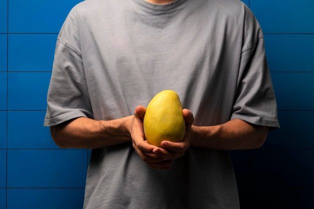 Die Hände des Landwirts, die große frische reife gelbe Mangofrucht halten