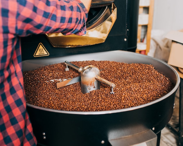 Die Hände des Mannes, die frisch geröstete aromatische Kaffeebohnen über einer modernen Kaffeeröstmaschine halten.