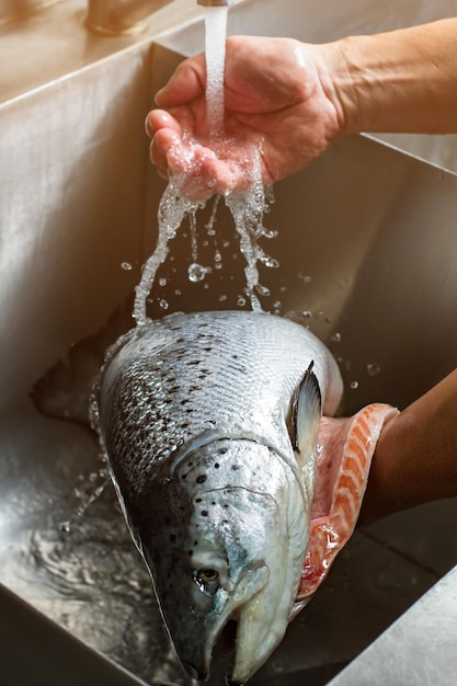 Die Hände des Mannes waschen Fisch. Fische unter Wasserfluss. Kürzlich gefangener Lachs. Zutat für Sushi-Rollen.