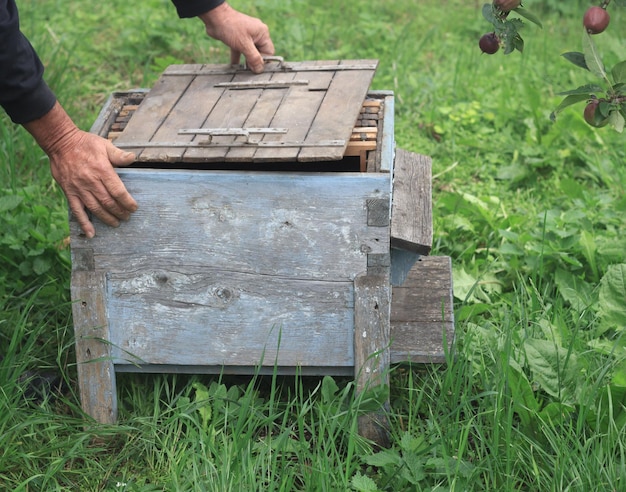 Foto die hände eines erfahrenen imkers halten die abdeckung eines alten bienenstocks