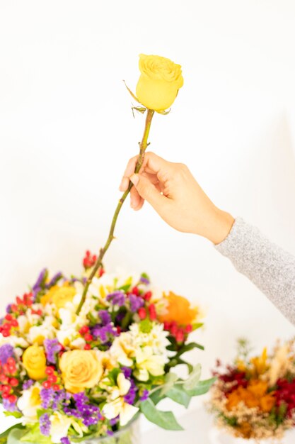 Die Hand der Frau, die gelbe Rose zum Blumenstrauß setzt