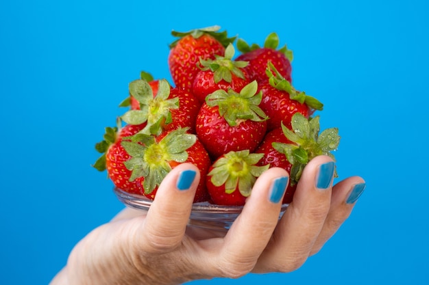 Die Hand der Frau, die Teller mit frischen reifen Erdbeeren hält. Blauer Hintergrund