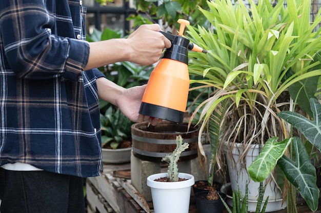 Die Hand des jungen asiatischen Gärtners hält einen Wassersprüher, um die Pflanzen mit einem Spray bei Freizeitaktivitäten zu bewässern. Sonnenschein am Morgen in der Wohnung Lifestyle-Hobby-Menschen-Konzept