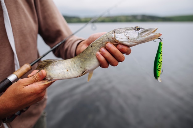 Die Hand des Mannes, die gefangenen Fisch mit Haken hält