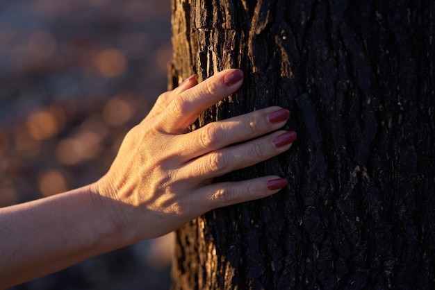 Die Hand einer Frau berührt einen Baumstamm.