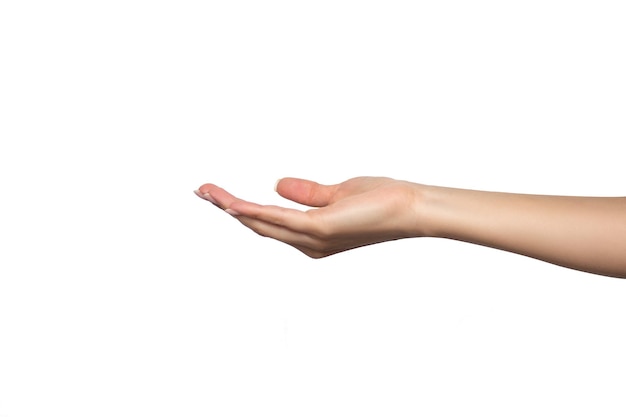 Die Hand einer Frau ist mit der Handfläche nach oben geöffnet, um etwas zu nehmen oder zu geben. Geste, die auf weißem Hintergrund isoliert ist