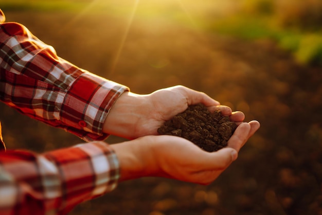 Die Hand eines erfahrenen Landwirts sammelt Erde und überprüft die Bodengesundheit, bevor ein Gemüsesamen wächst