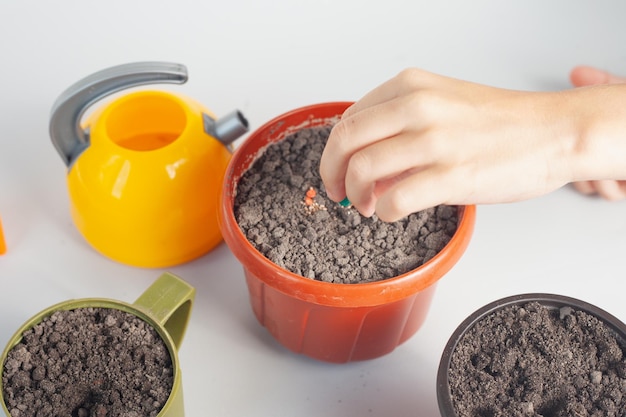 Die Hand eines Kindes pflanzt Pflanzensamen in einen Blumentopf